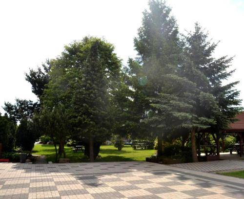 Apartament Kalisz