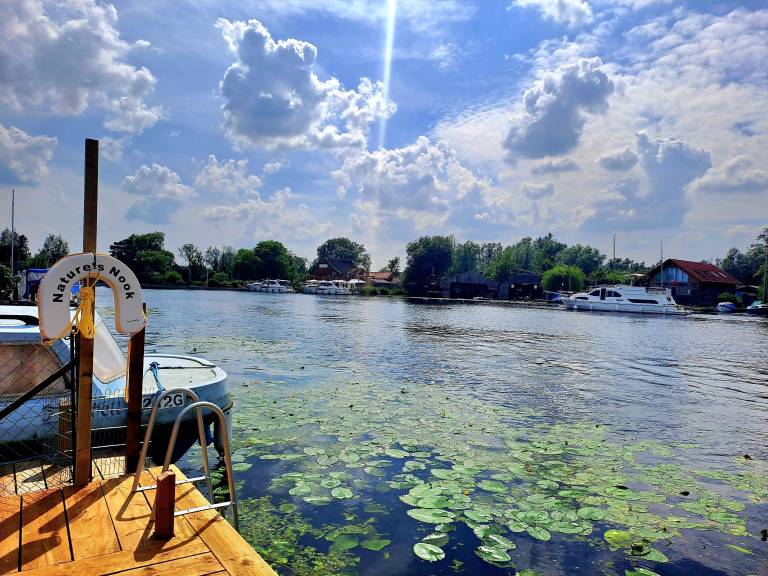 Cottage Brundall