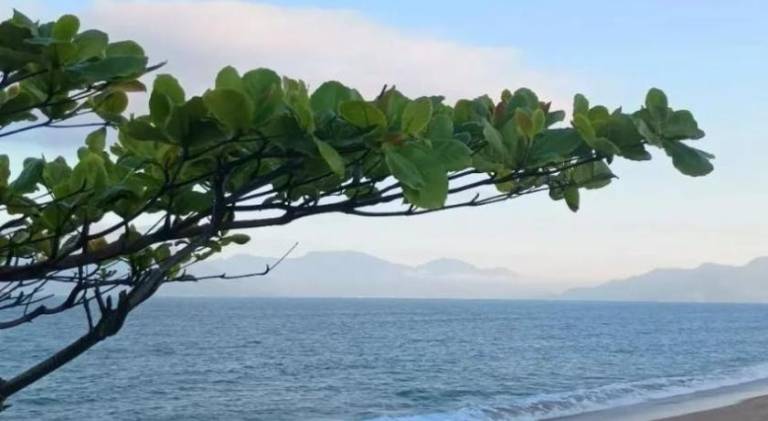 Holiday apartment with 1 room for 4 persons in Caraguatatuba