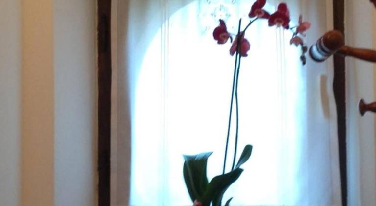 foto41