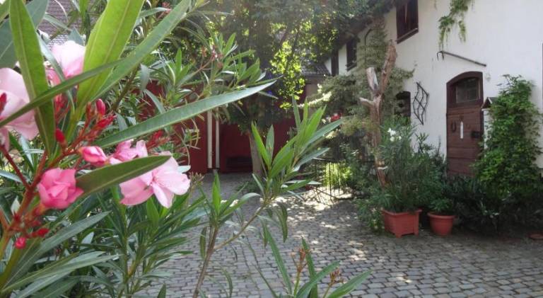 foto17