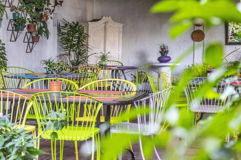 Árbol de Fuego Eco hotel a green experience in the city