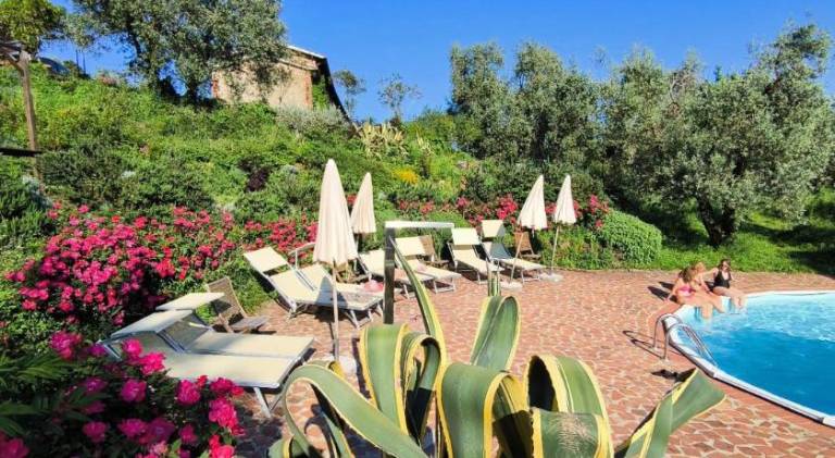 Beautiful farm with barbecue, patio & private pool | Dogs allowed in Serravalle Pistoiese