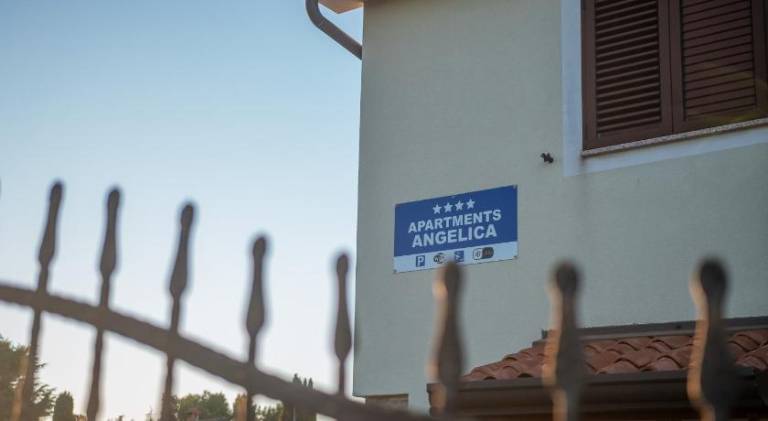 Rental apartment | Dogs allowed in Novigrad