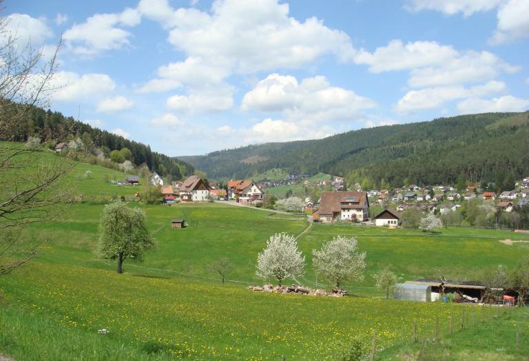 foto2