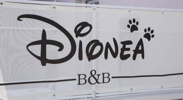 B&B Dionea in Castellabate
