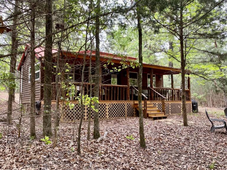 Cabin  Mineola