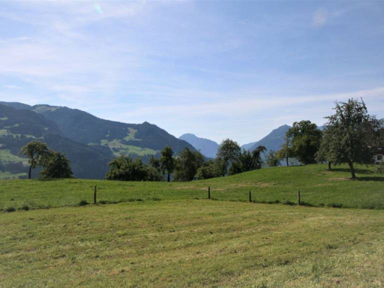 foto17