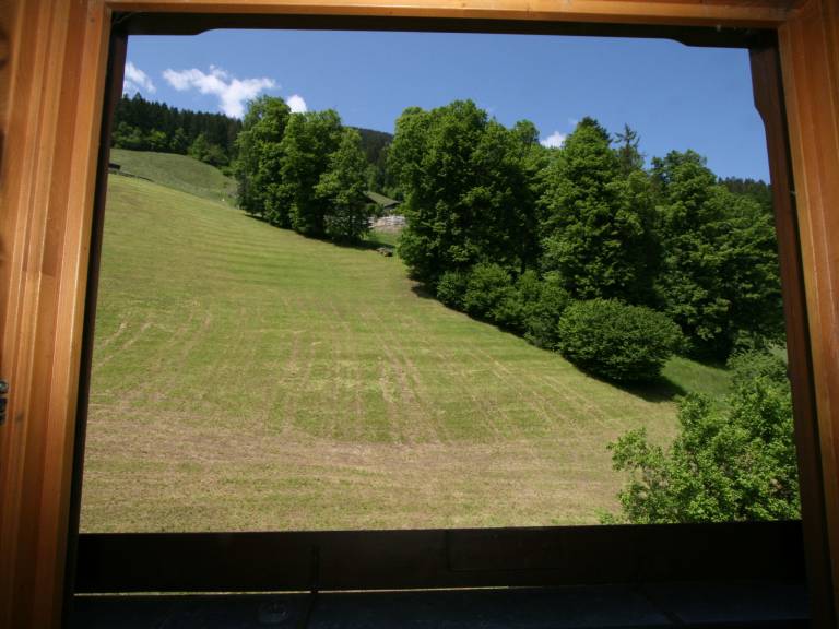 foto12