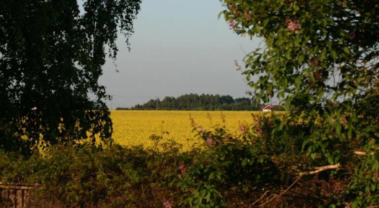 foto7