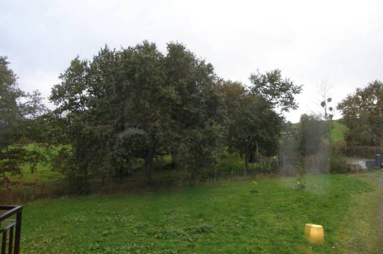 foto10