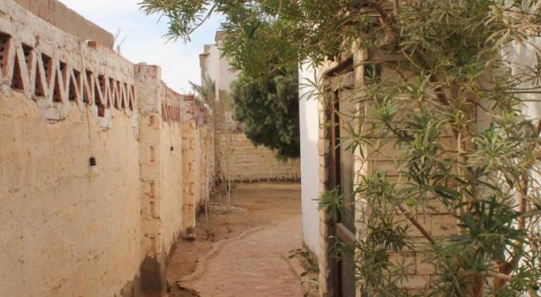 Vacation home | Next to the beach | Pets are welcome — photo 5