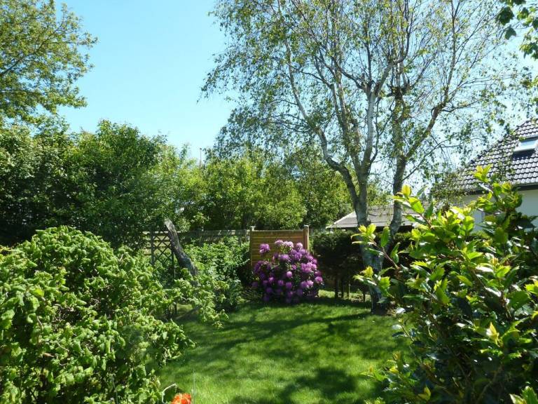 foto20