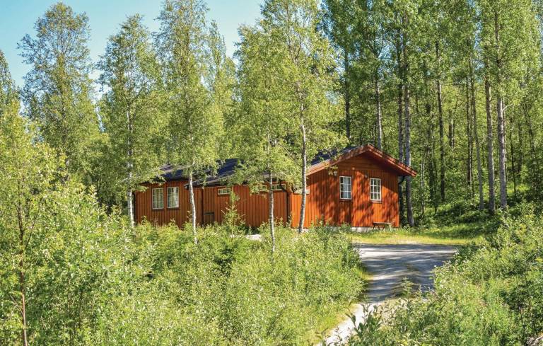 Hus  Hemsedals kommun