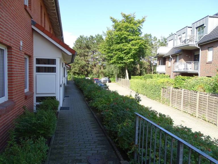 foto25