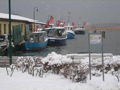 foto36