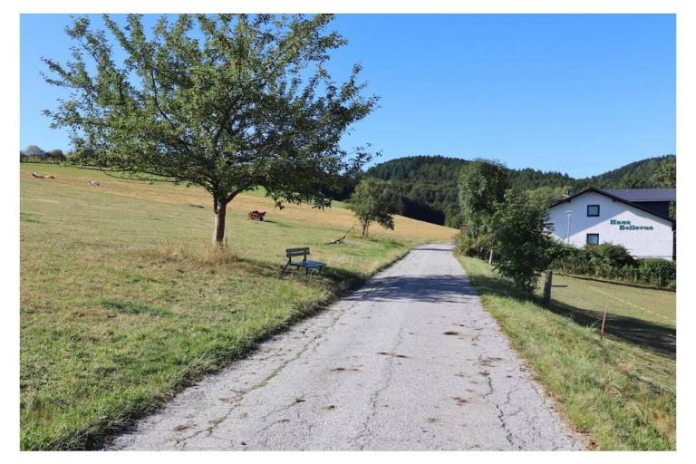 Ferienhaus Willingen (Upland)