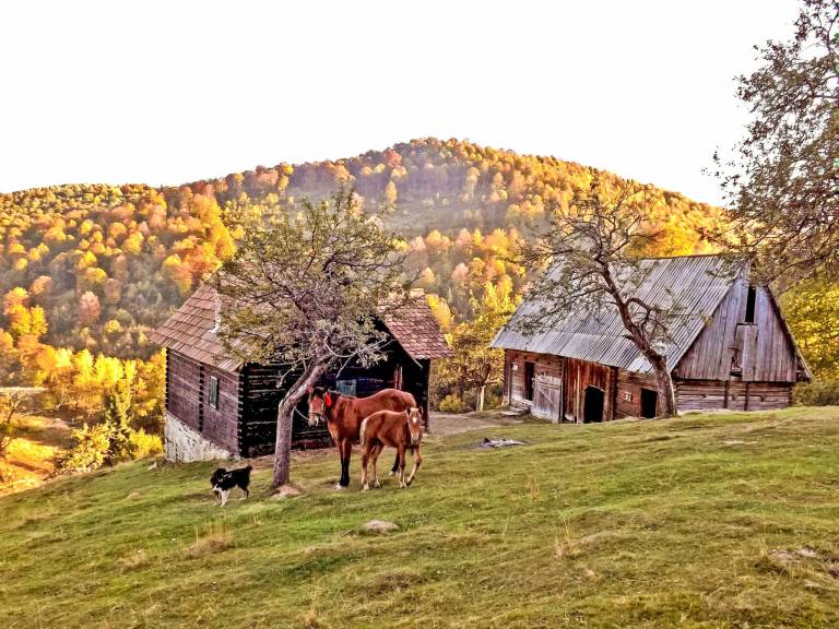 Ferienhaus Saliste