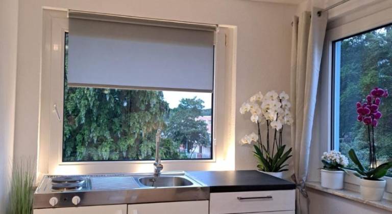 Nice holiday apartment with yard | Pets are welcome — photo 3