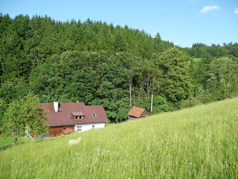 foto18