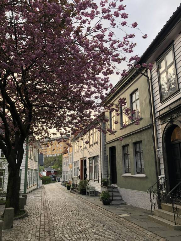 foto20