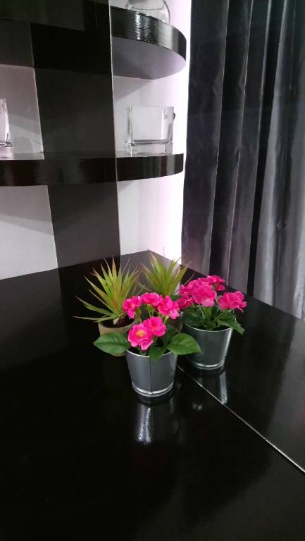 foto24