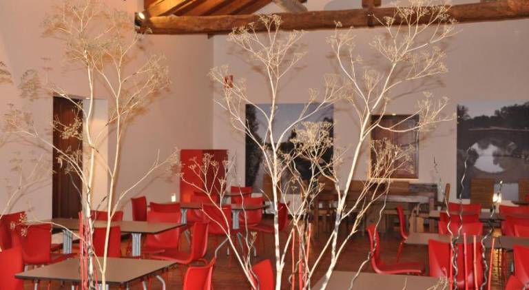 Carrecalzada — photo 3
