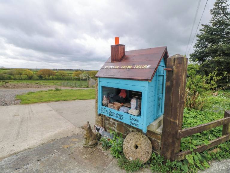 Cottage Holsworthy