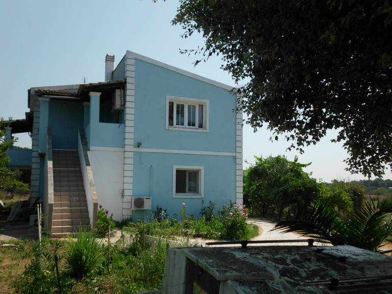 foto1