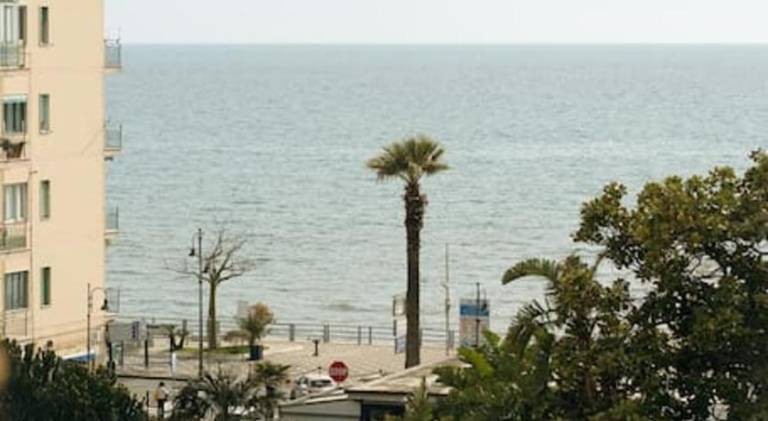 Holiday apartment | Close to the beach | Pet-friendly — photo 3