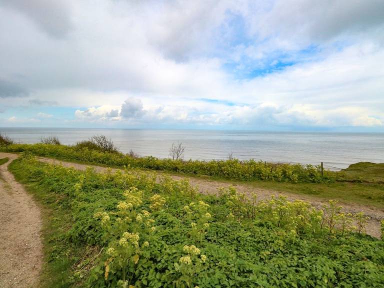 Cottage Cromer