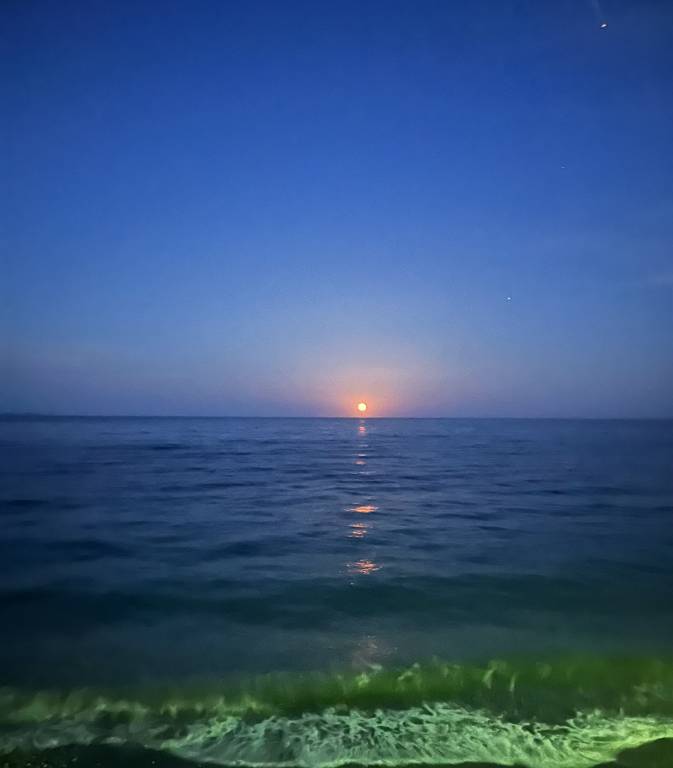 foto11
