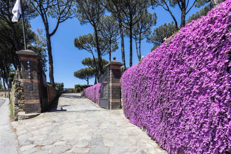 MyExclusiveItaly - Elegant Sorrento Coast Villa with Pool&TennisCourt — photo 3