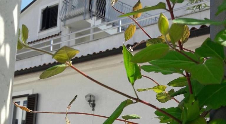 Charming holiday apartment with terrace, BBQ & garden | Pets are welcome in Rovinj