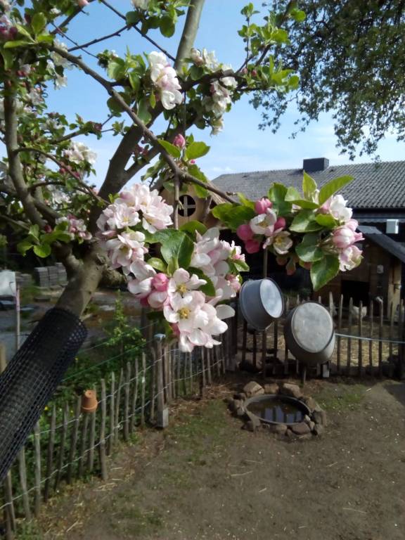 foto15