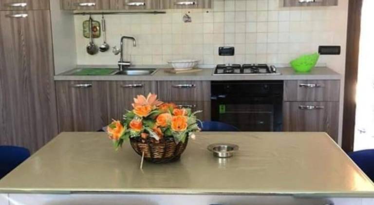 Charming rental apartment | Pet-friendly — photo 3
