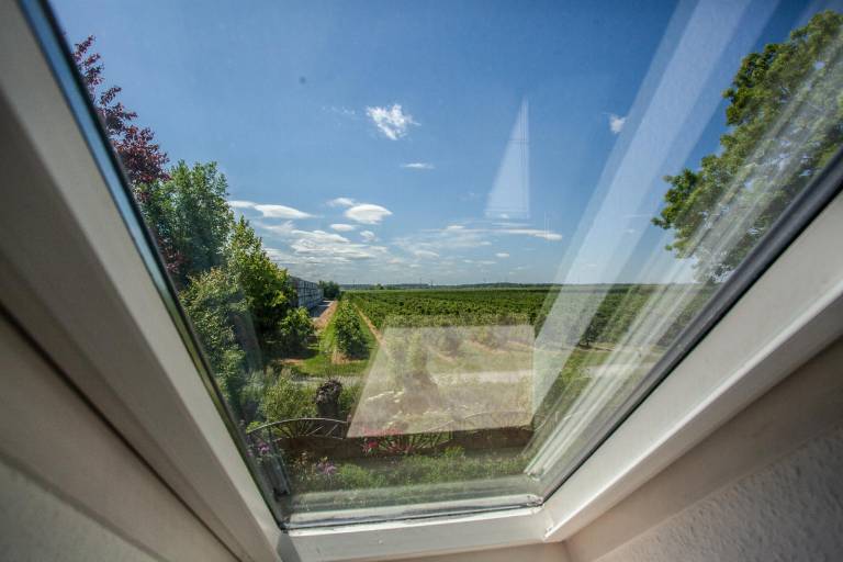 Holiday apartment with yard & terrace — photo 4