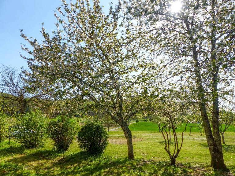 Ferienhaus in Sainte-Mondane, Veyrignac f&uuml;r max. 7 Personen