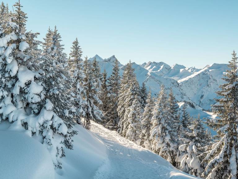 Ferienwohnung Tannheimer Tal