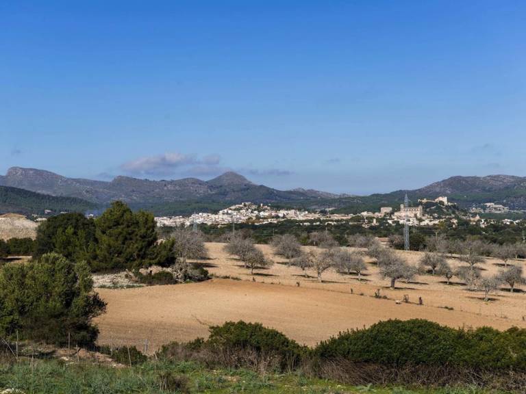 foto42