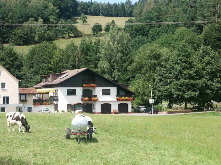 foto9