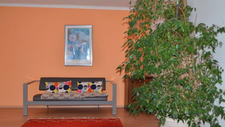 foto14