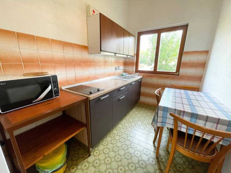Holiday apartment | Pets allowed — photo 4