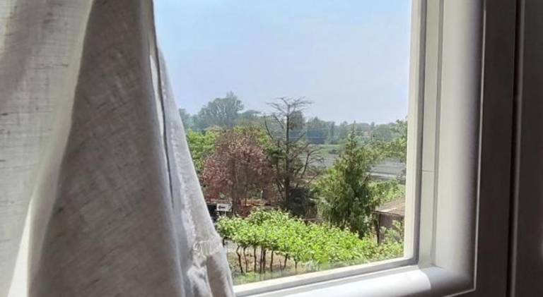 Rental apartment with 1 room for 4 persons — photo 4