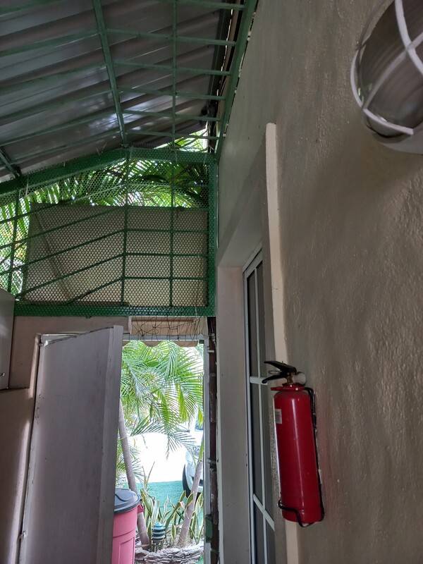 foto38