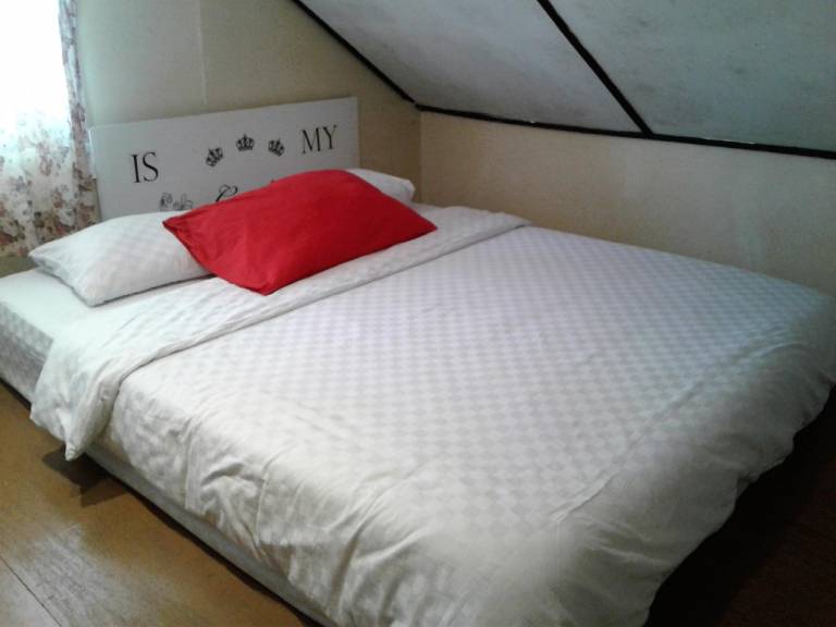 foto42