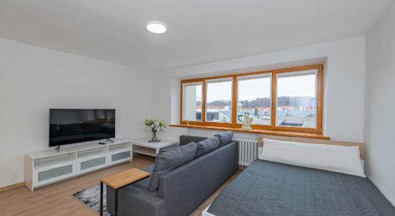 Charming holiday apartment | Pets allowed in Kaunas