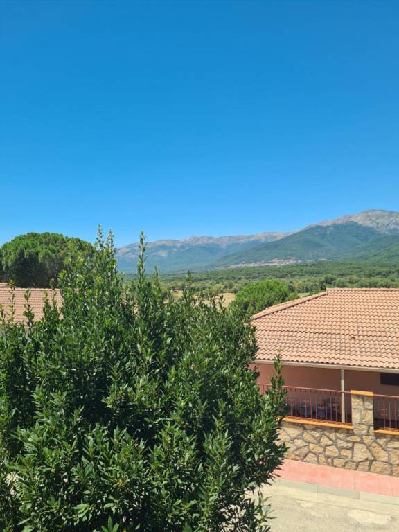 foto31