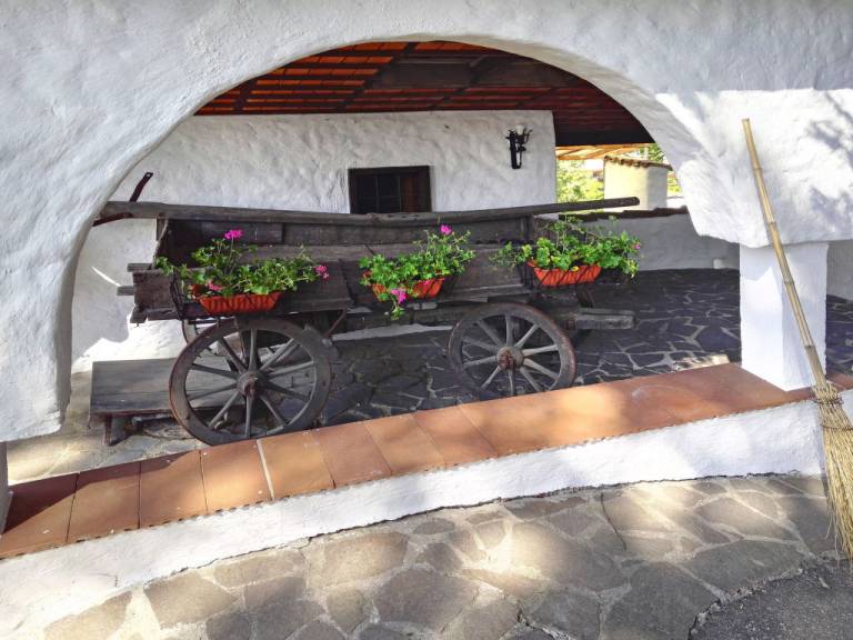 foto16