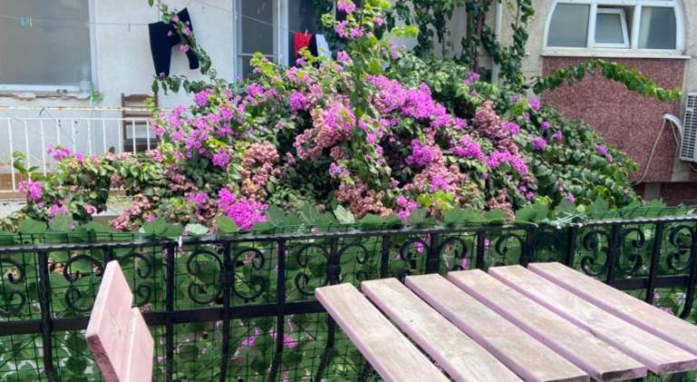 Buyukada Carsı Pansiyon — photo 5
